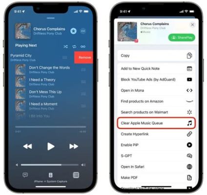 How to Clear Queue on Apple Music: Delving into the Nuances of Customizing Your Listening Experience