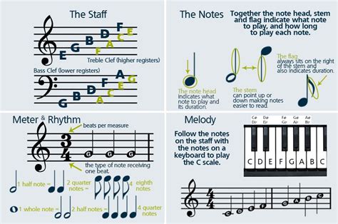 how to read cello music and the importance of understanding different musical genres